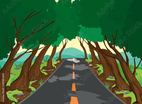 trees and road