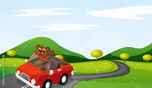 a tiger cub in a car