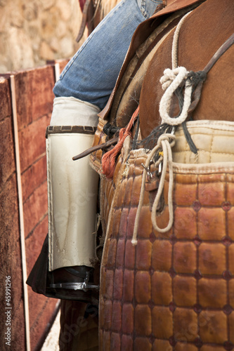 Obraz na płótnie Lancer leg protection