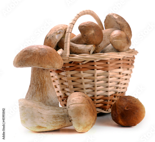 mushrooms in a basket