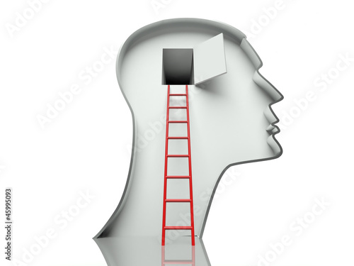 Obraz na plátně Door in head and ladder, concept of open mind