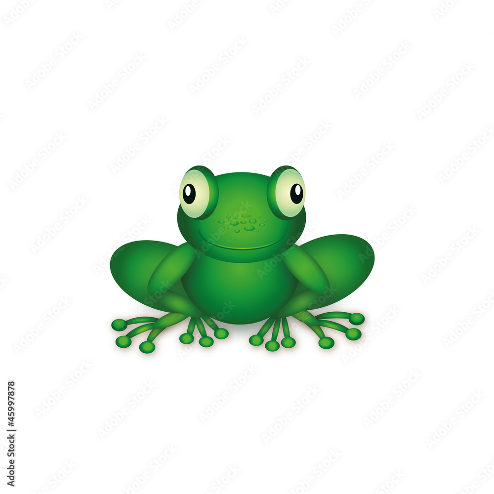 Obraz premium Frog