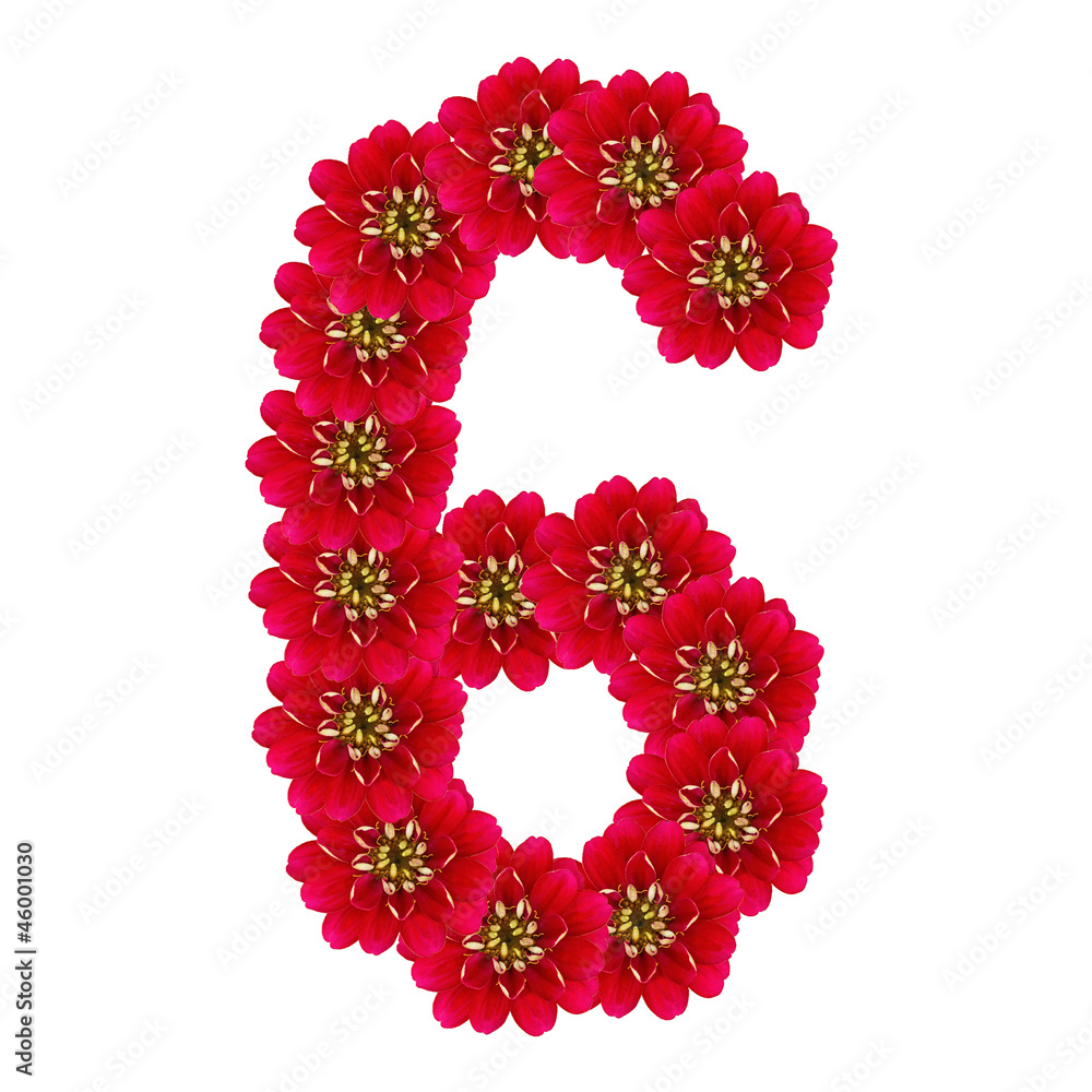 SIX from red flowers SIX from red flowers