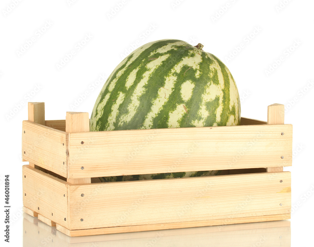 Ripe watermelon in wooden box isolated on white Ripe watermelon in wooden box isolated on white