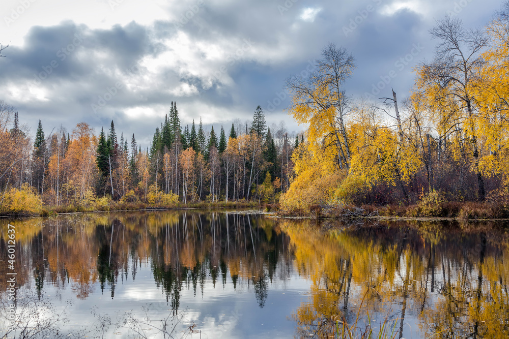 Autumn landscape with the river