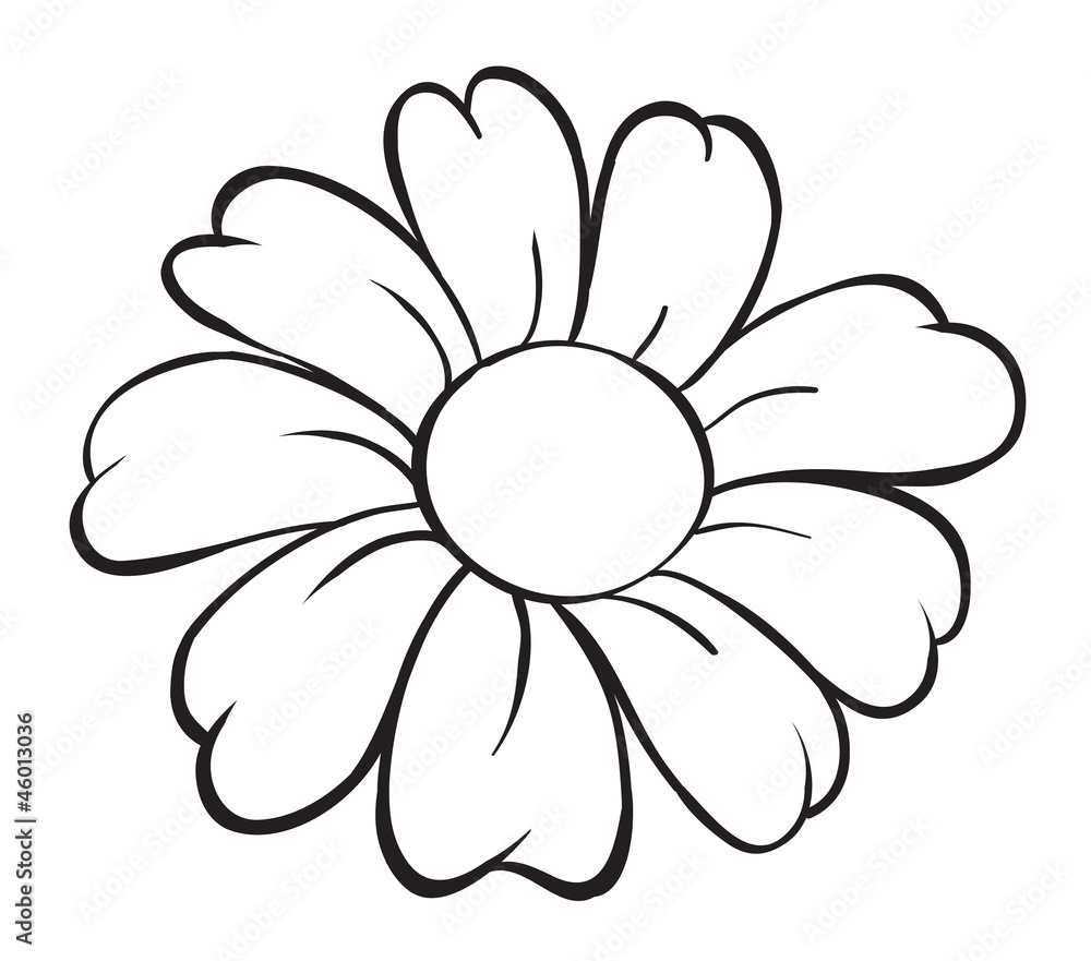 flower sketch flower sketch