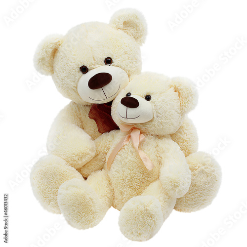 Two teddybears on white background