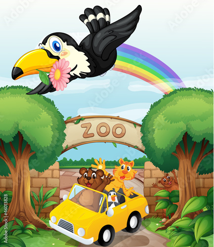 a zoo and the animals