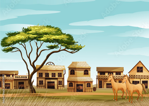 a zoo and the animals