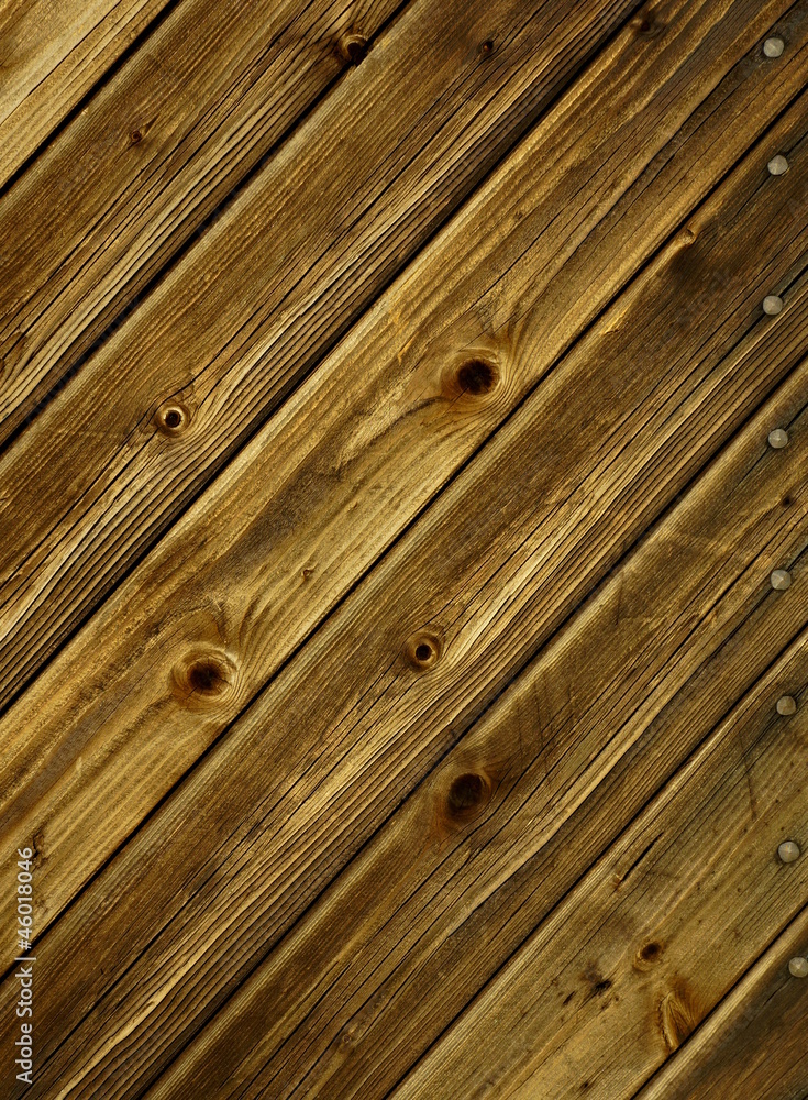 Fototapeta premium holz