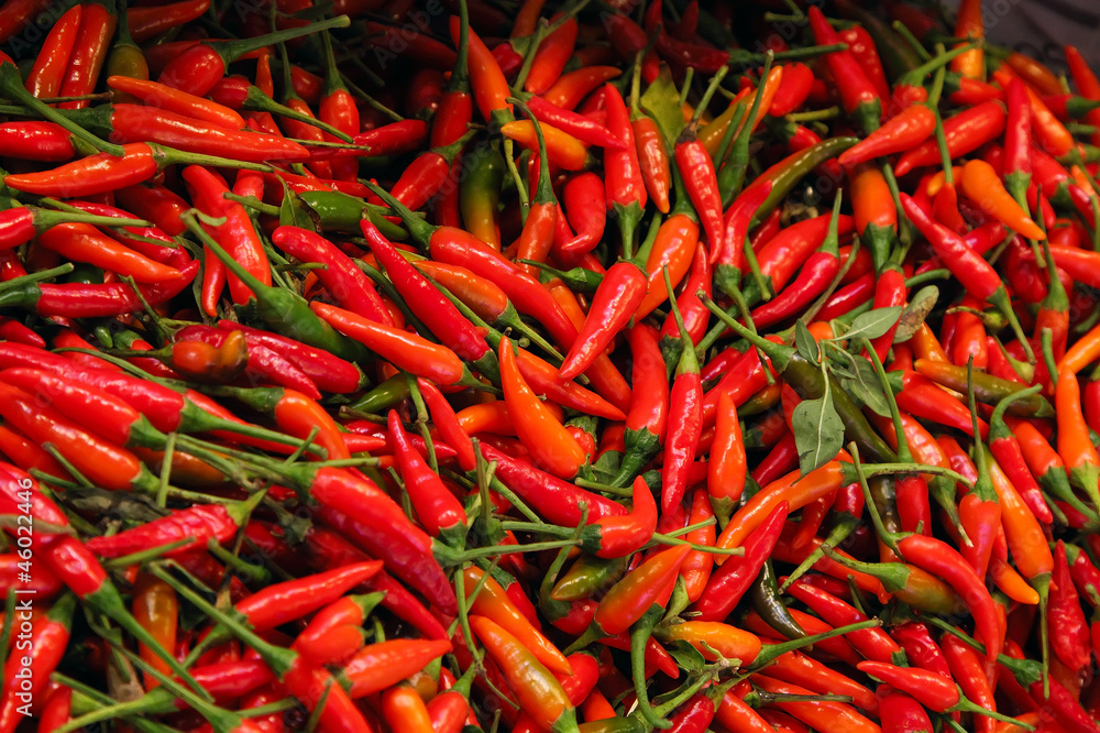 Fototapeta premium Red chili pepers