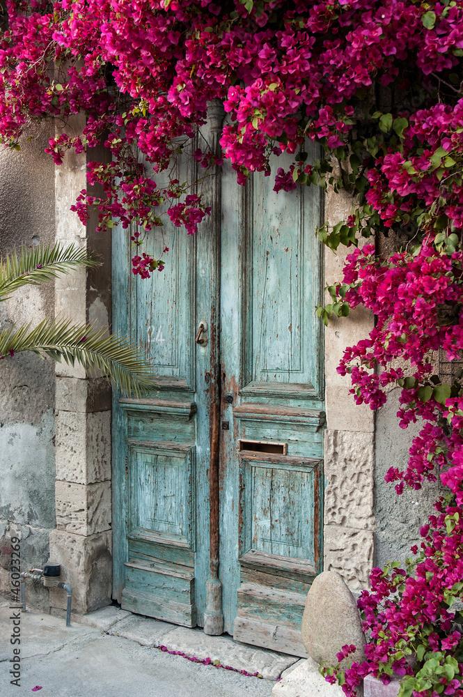 Old wooden door with bougainvillea in Cyprus - obrazy, fototapety, plakaty 