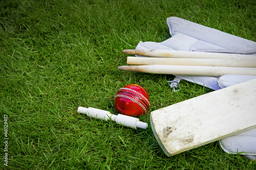 Fotografie cricket