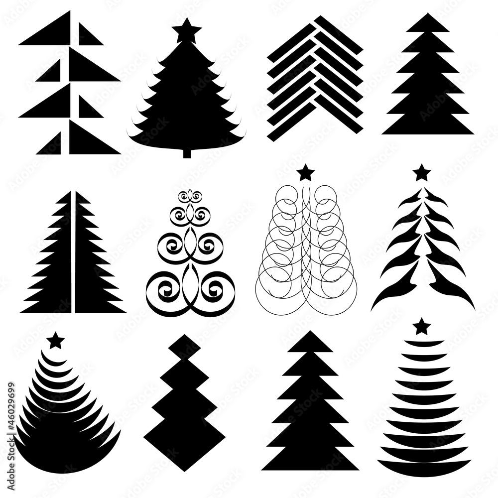 Fototapeta premium Fir trees