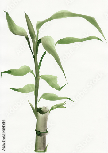 Wallpaper Mural Watercolor painting of bamboo Torontodigital.ca