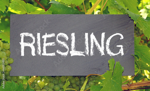 фотографія Riesling