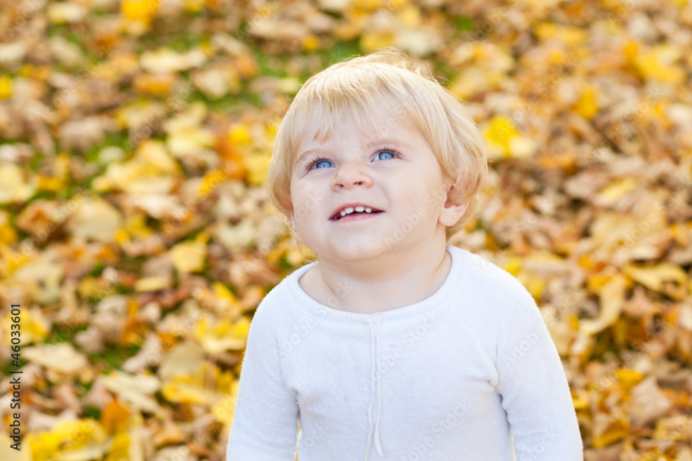 Little toddler boy in autumn park Little toddler boy in autumn park