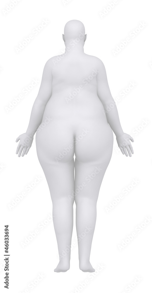 Obese woman in anatomical position posterior view Obese woman in anatomical position posterior view