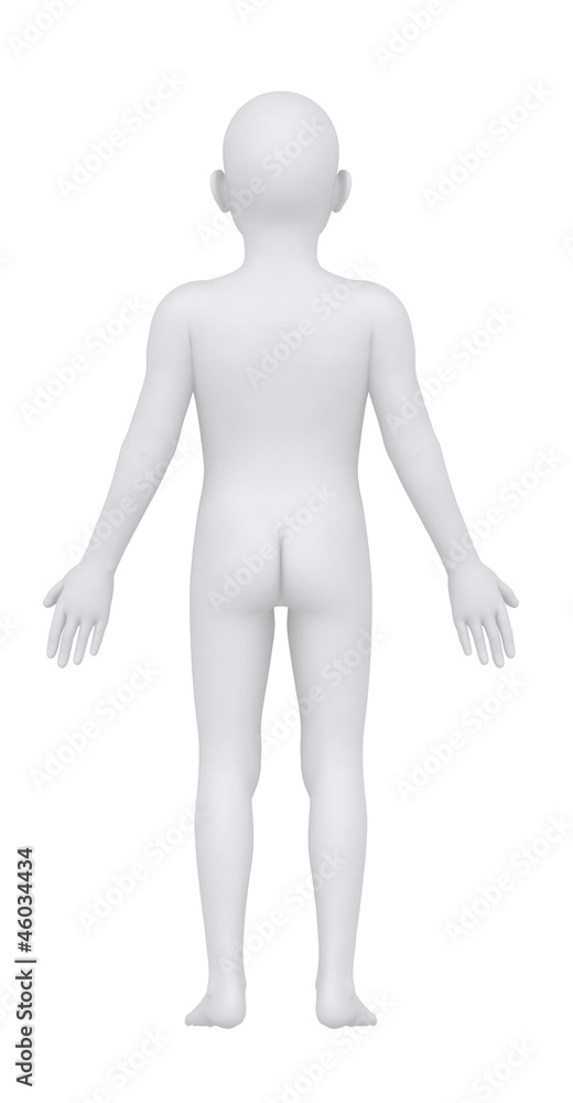 Child teenager in anatomical position posterior view Child teenager in anatomical position posterior view