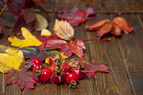 hips and autumnal leaves on a old wooden background