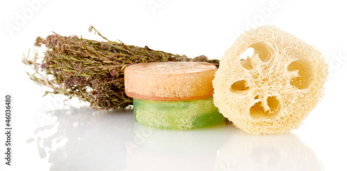 Obraz na płótnie Loofah isolated on white