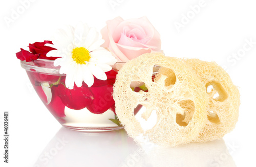 Obraz na płótnie Loofah isolated on white
