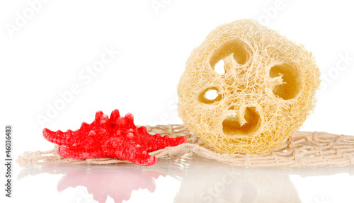 Obraz na płótnie Loofah isolated on white