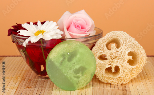 Obraz na płótnie Loofah on color background