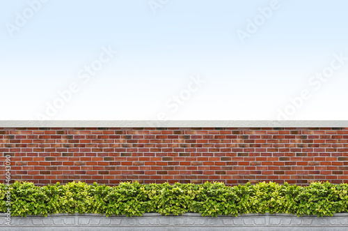 shrubs and brick fence on blue sky background