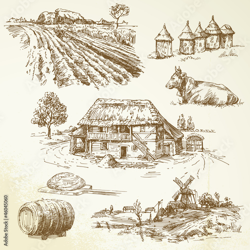 rural landscape, agriculture, farming