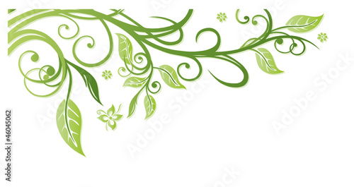 Frühling, frame, Blätter, Laub, Ranke, Grüntöne photo