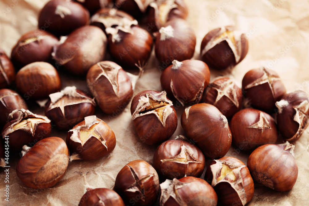 edible chestnuts edible chestnuts
