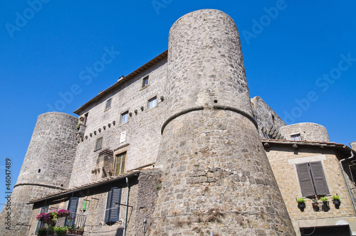 Anguillara castle. Ronciglione. Lazio. Italy. photo