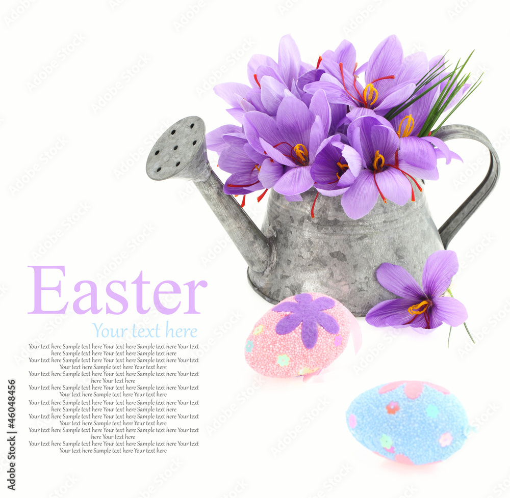 Easter eggs and saffron flowers in a watering can