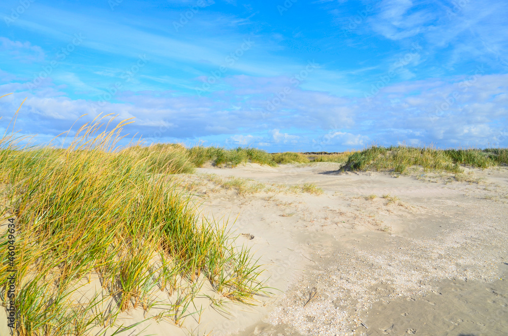 Nordsee Natur Urlaub Meer