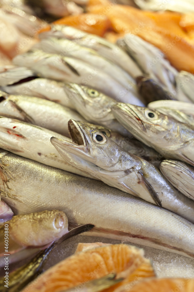 Hake fish closeup photo from market stall, selective focus Hake fish closeup photo from market stall, selective focus