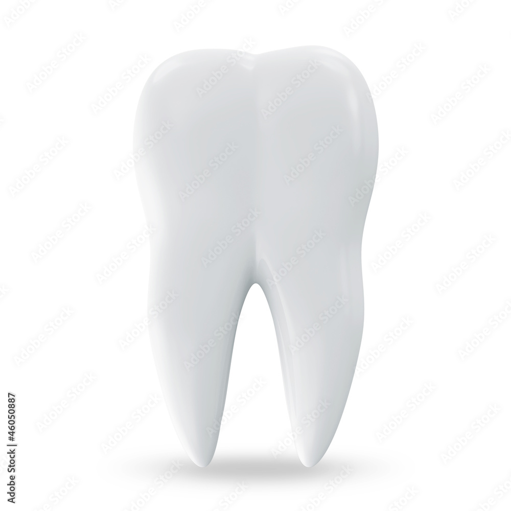 Health Tooth isolated on white background Health Tooth isolated on white background