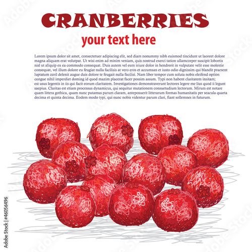 cranberries
