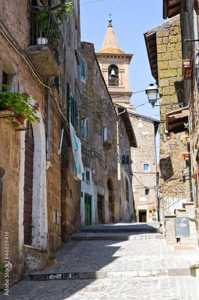 Alleyway. Capranica. Lazio. Italy.