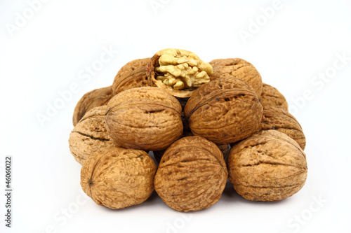 The walnut