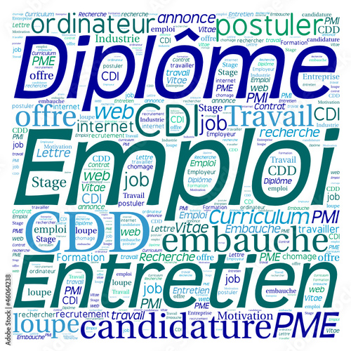 Nuage de Mots : Diplômes Emploi Entretien