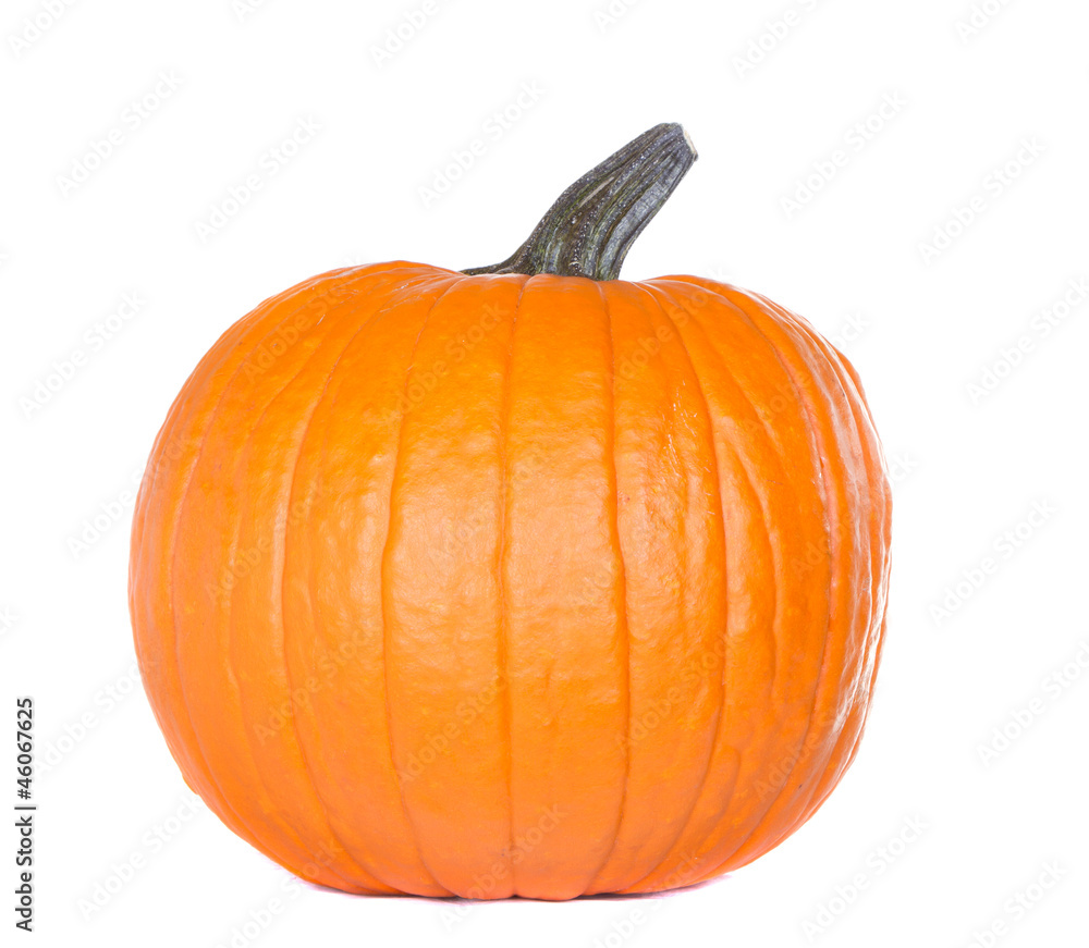 Obraz premium Isolated pumpkin