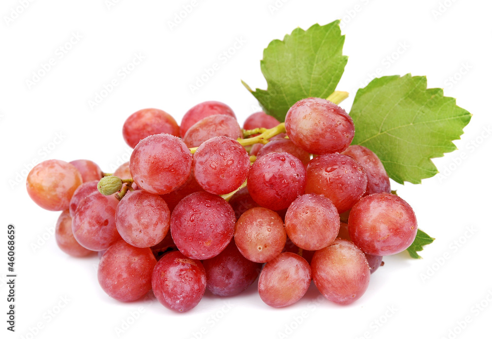 Fototapeta premium sweet grapes with drops