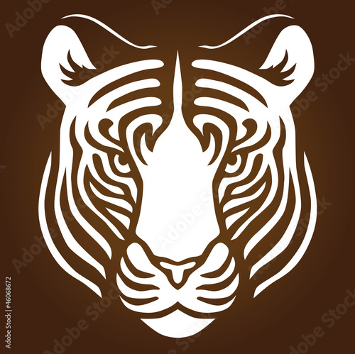 Tiger Portrait
