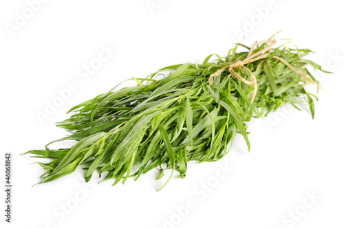 Fresh tarragon herb © tashka2000