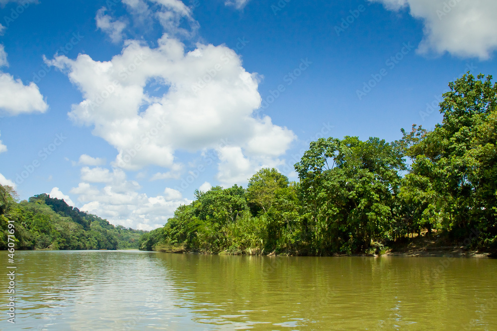 tropical rain forest river with blue skyes tropical rain forest river with blue skyes