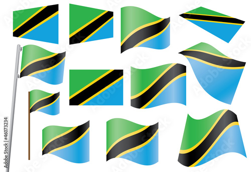 set of flags of Tanzania vector illustration