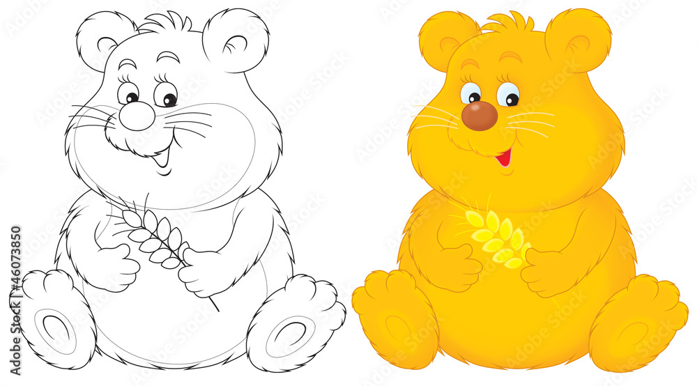 Fototapeta premium Hamster