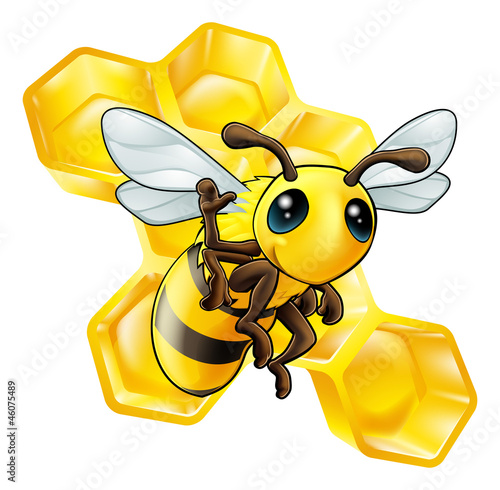 Bee and honeycomb