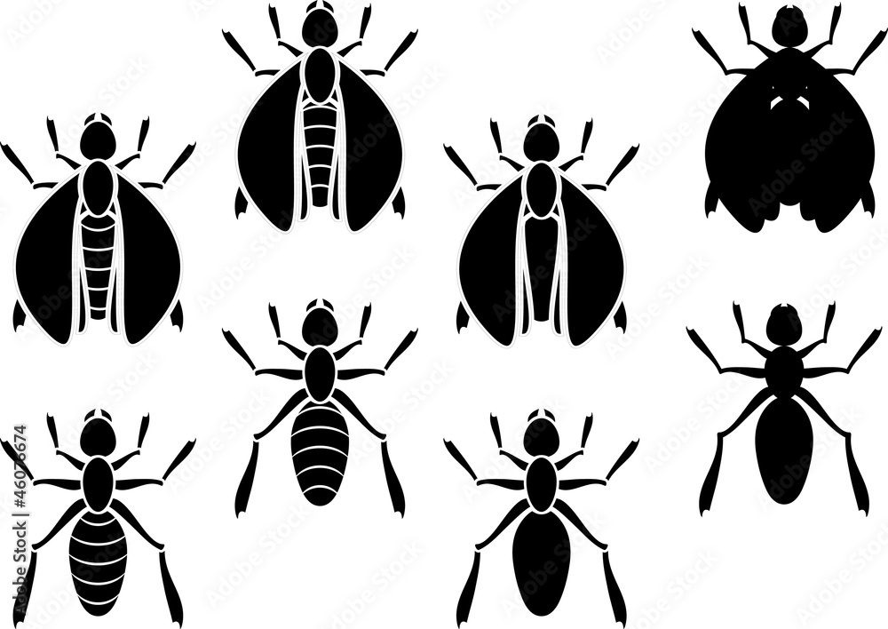 set of insects. stencils set of insects. stencils